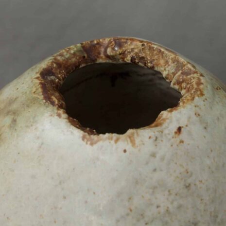 Lisa Jonas Pitcher-6 Lisa Jonas Pitcher