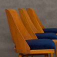 Set of  Radomir Hofman chairs for Ton