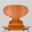 Jacobsen ant chair in teak scaled