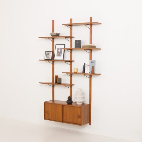 24305 trzykijowy dwubolec-2 24305 trzykijowy dwubolec-2