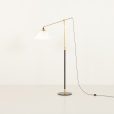 24455 floor lamp-1