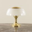 25099 Rare Table Lamp by Gaetano Scolari for Ecolight , Italy 1970s-2
