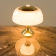 25099 Rare Table Lamp by Gaetano Scolari for Ecolight , Italy 1970s-5