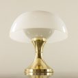 25099 Rare Table Lamp by Gaetano Scolari for Ecolight , Italy 1970s-8