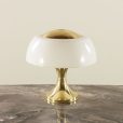 25099 Rare Table Lamp by Gaetano Scolari for Ecolight , Italy 1970s-9