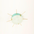 25265.1 Italian mid century ceiling flush mount light in the style of Gio Ponti, 1950s_3